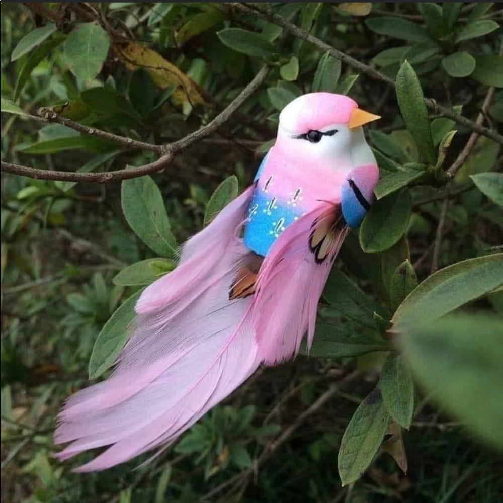 Meet your Posher, Becky